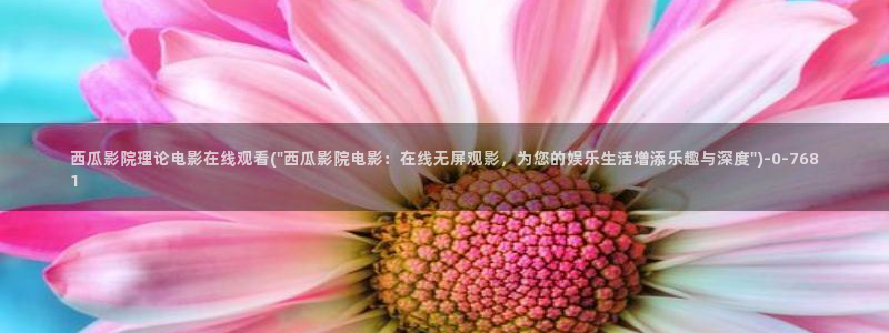 电视剧西瓜影院