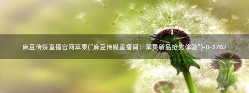 麻豆视频大全