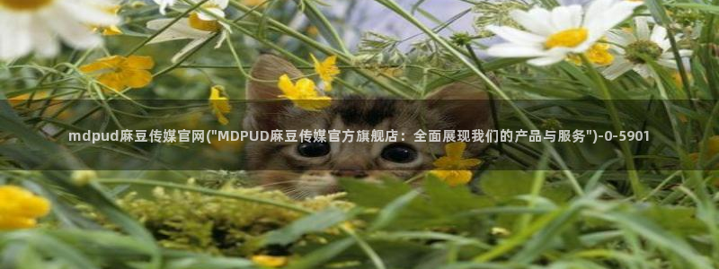 麻豆剧情解析