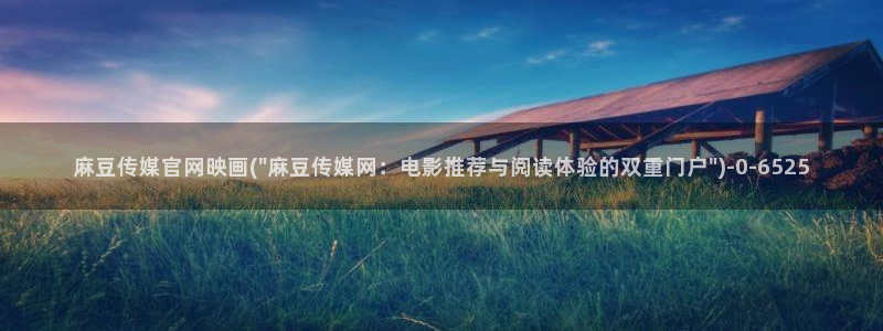 麻豆视频精准词