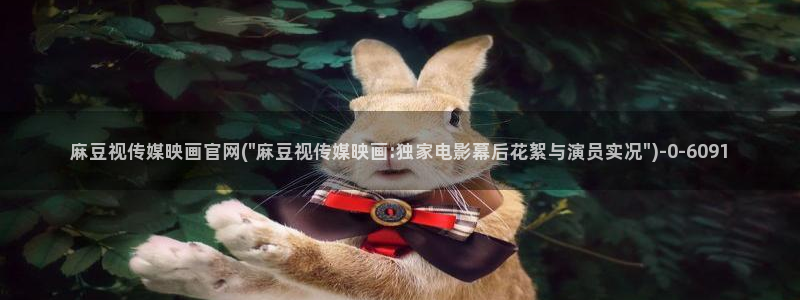 麻豆观看描述