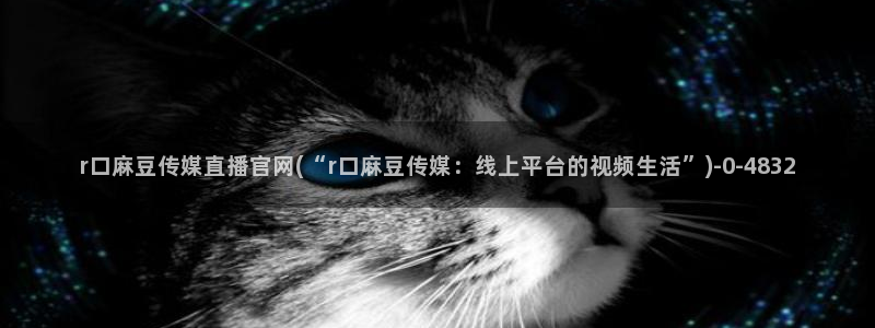 麻豆内容优化