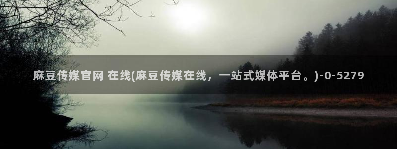 麻豆视频内链