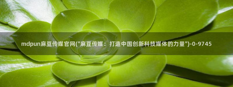 麻豆视频专题内容