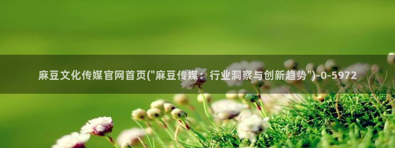 麻豆传媒合集