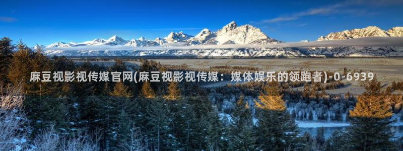 麻豆视频精准词