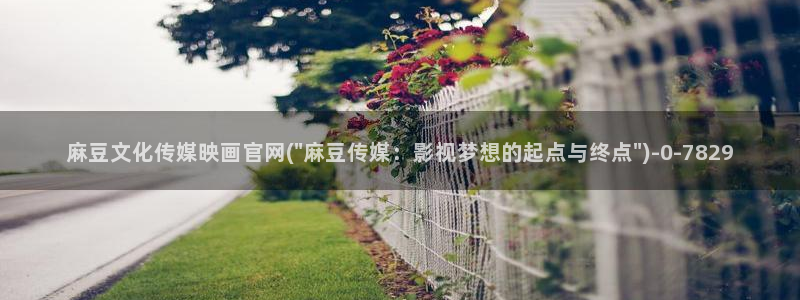 麻豆视频专题