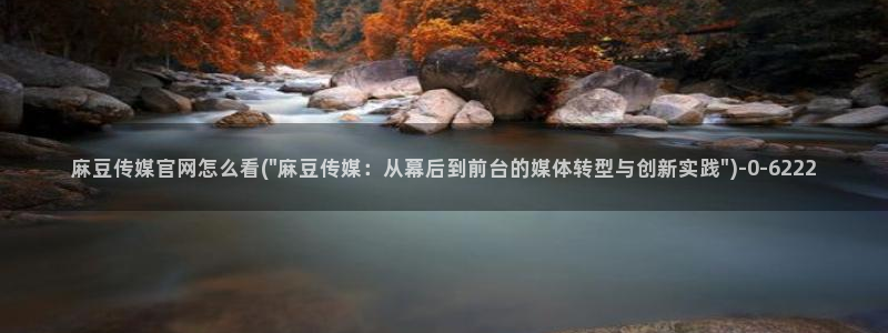 麻豆热门专题