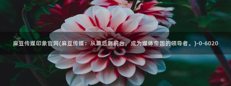 麻豆视频关键词
