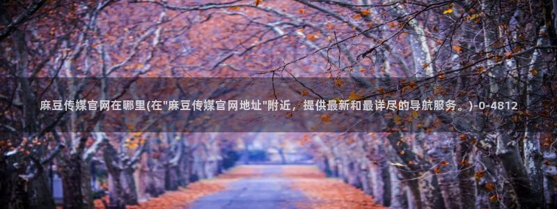 麻豆视频网