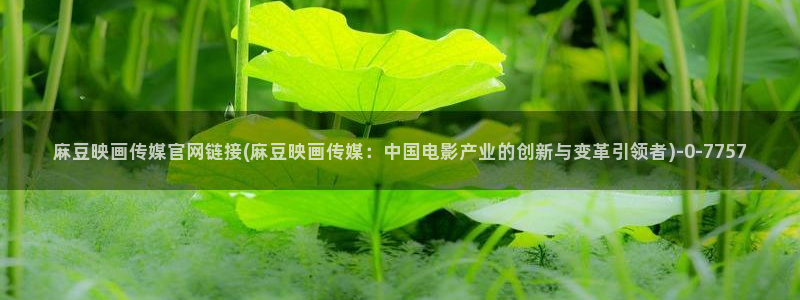 麻豆传媒演员