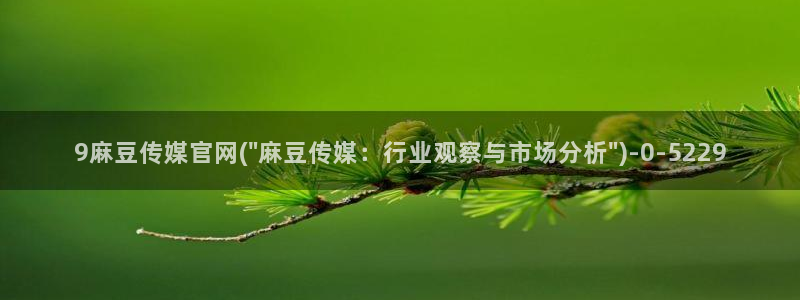 麻豆视频页面描述