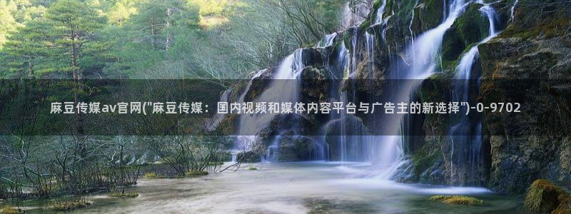 麻豆视频页面描述