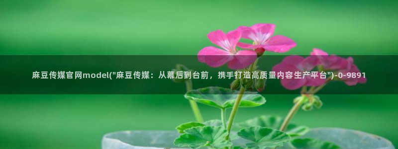 麻豆国产视频
