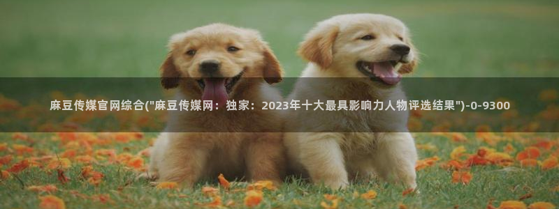 麻豆演员图鉴