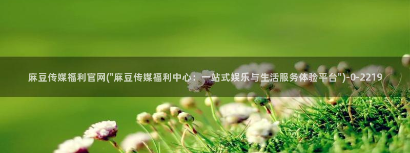 麻豆资料页