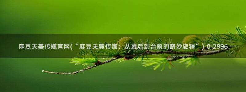 麻豆视频入口