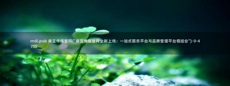 麻豆反转剧情