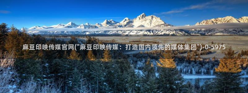 麻豆视频解说文案