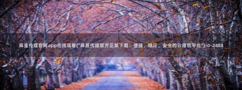 麻豆视频更新