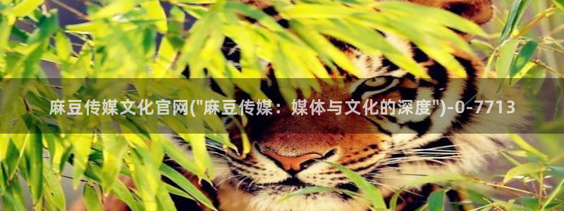 麻豆视频精准词