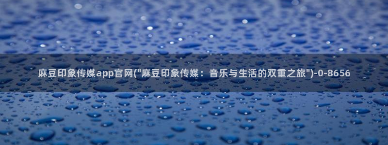 麻豆SEO模板