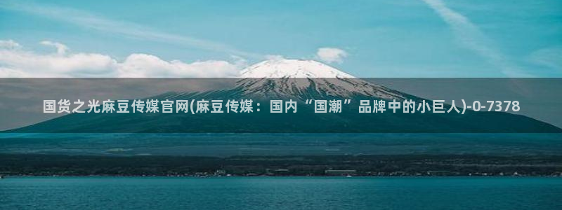 麻豆视频文章描述