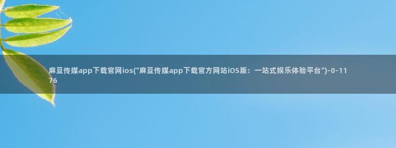 麻豆视频优质内容