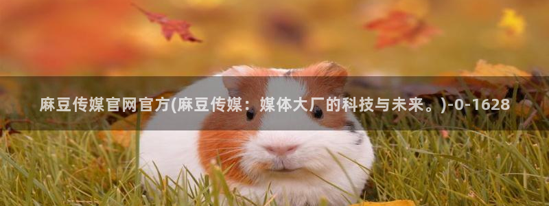 麻豆视频：麻豆传媒官网官方(麻豆传媒：媒体大厂的科技与未来。)