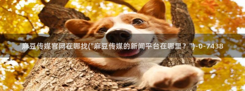 麻豆视频解说文案：麻豆传媒官网在哪找(\
