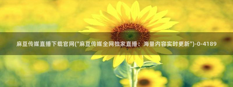 麻豆视频资源站文案