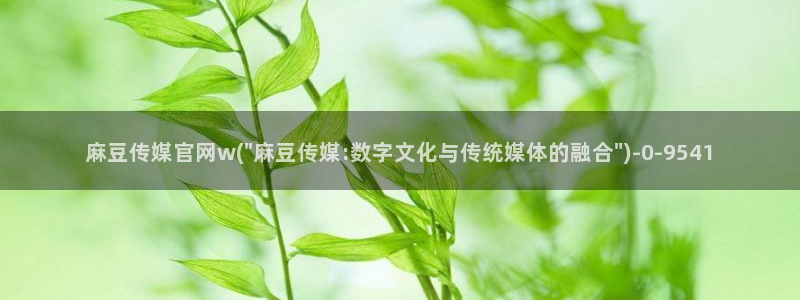 麻豆系列观看顺序