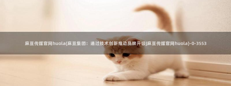 麻豆视频泛目录词