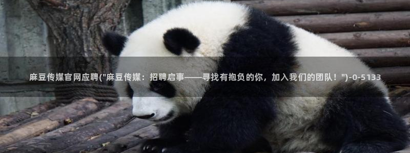 麻豆视频页面关键词