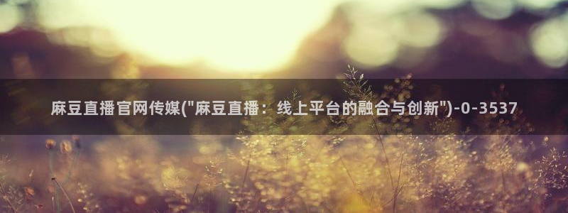 麻豆视频排名词